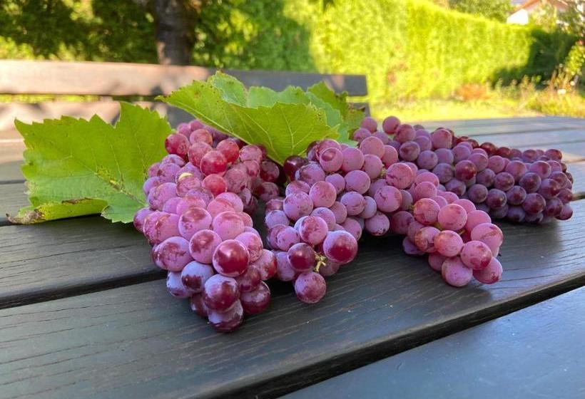 Bed and Breakfast Pension Rebgut