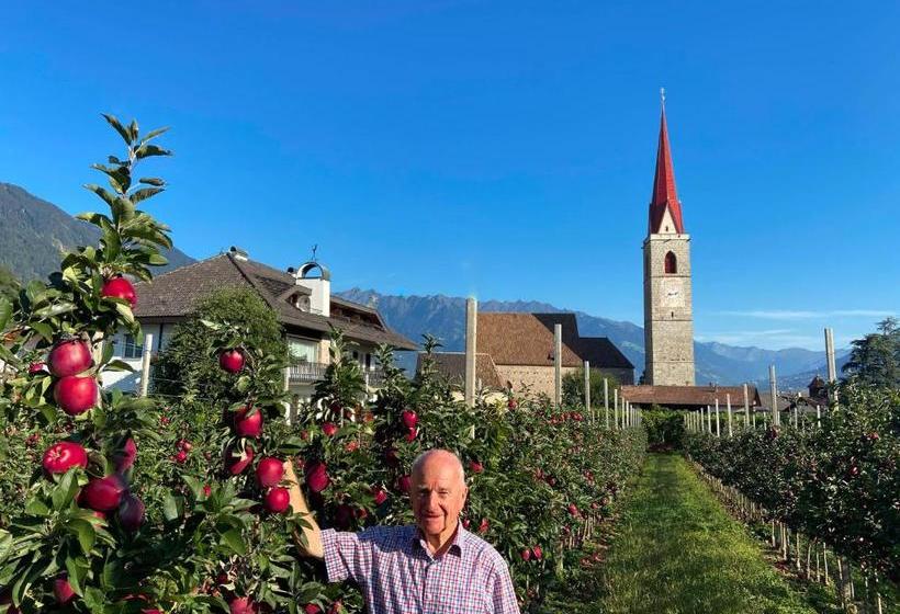 Bed and Breakfast Pension Rebgut