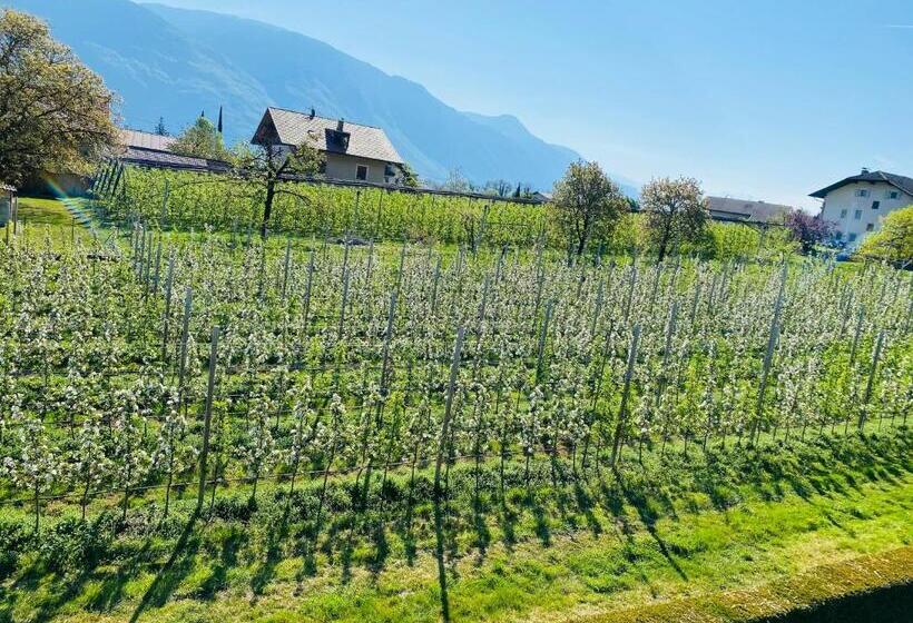 Bed and Breakfast Pension Rebgut