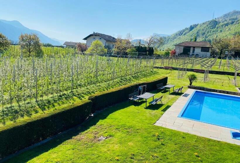 Bed and Breakfast Pension Rebgut