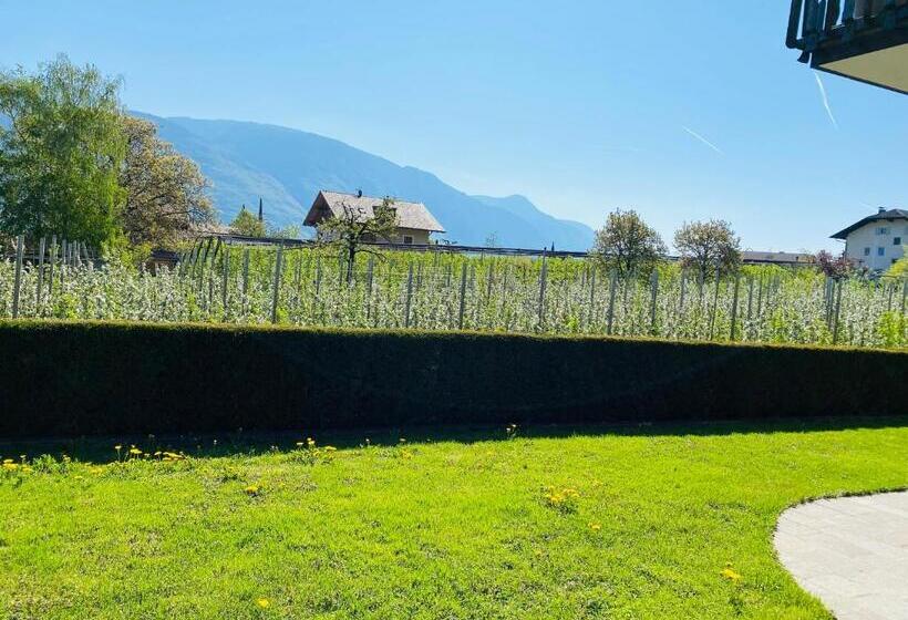 Bed and Breakfast Pension Rebgut