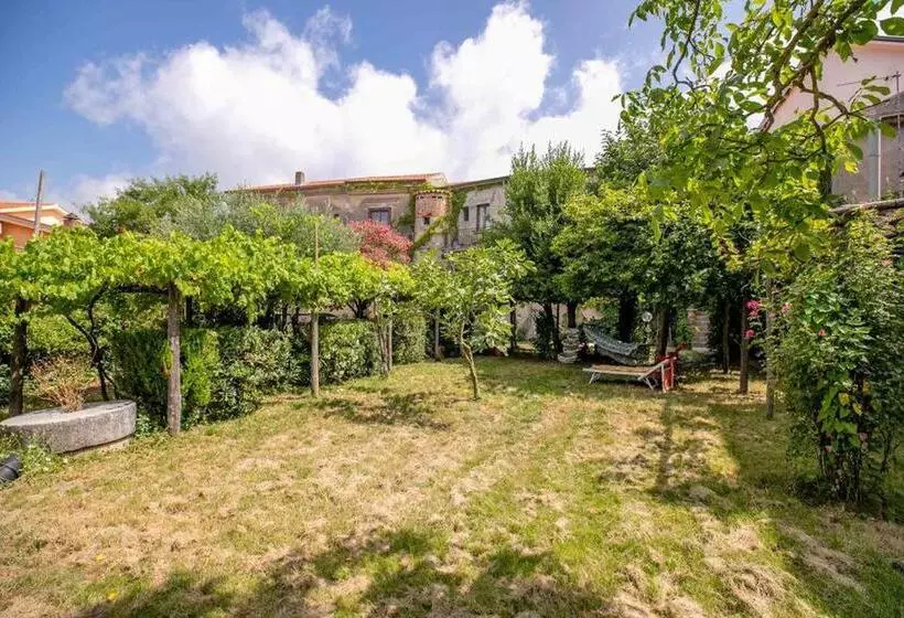 ベッドアンドブレックファースト Pietrantica