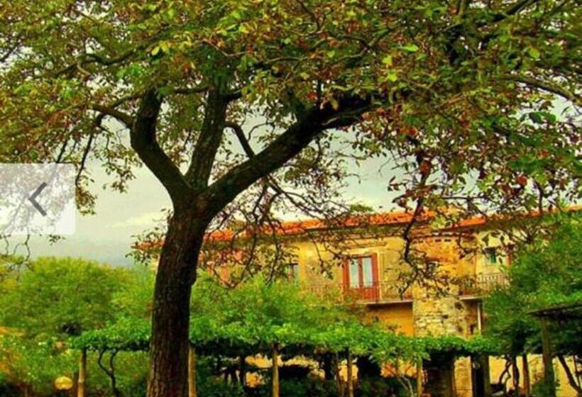 住宿加早餐 Pietrantica