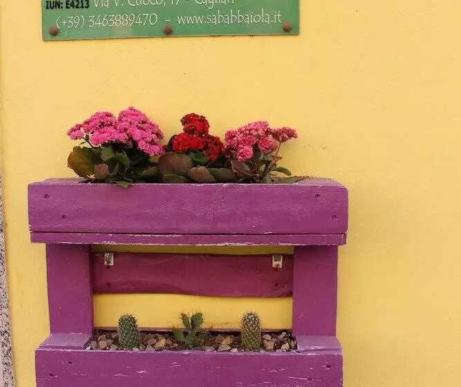Aamiaismajoitus (B&B) Sa Babbaiola