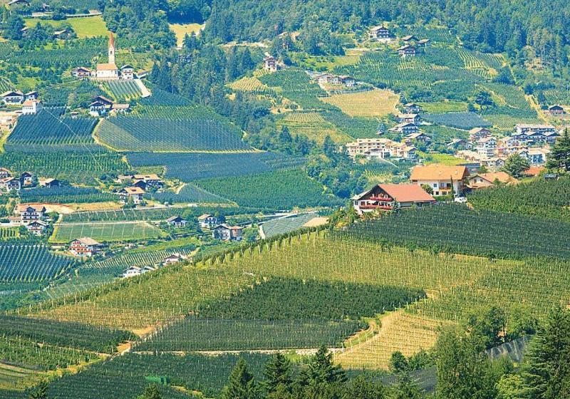 هتل Pension Zum Burggräfler