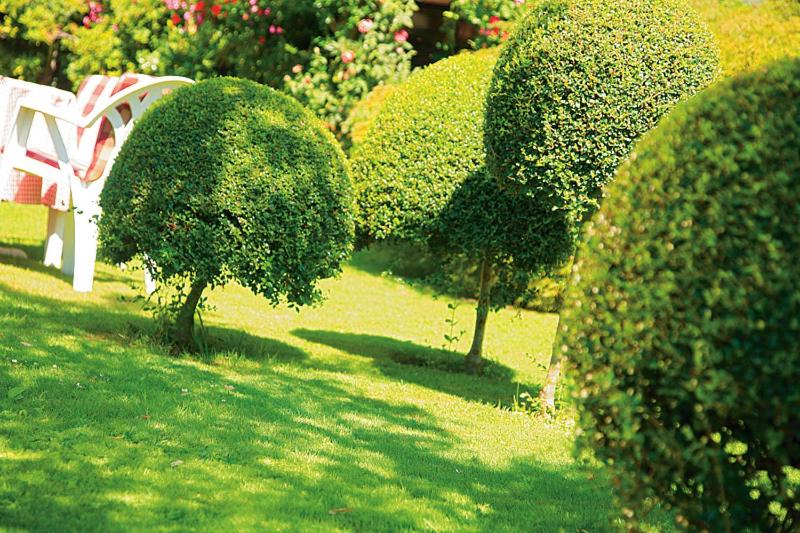 هتل Pension Zum Burggräfler