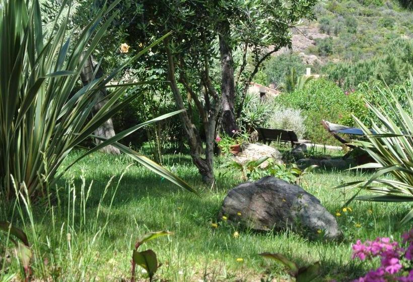 هتل Stella Marina