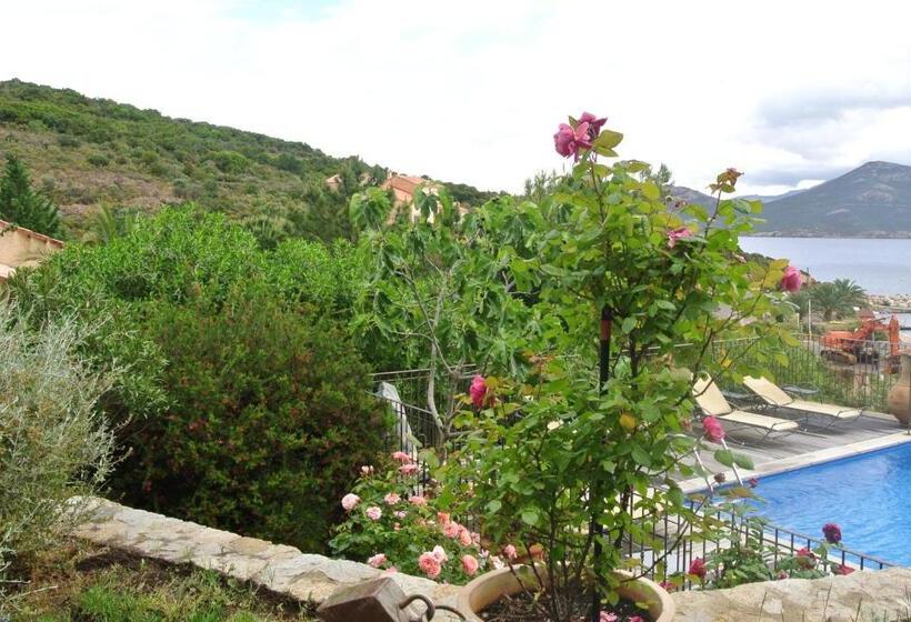 هتل Stella Marina