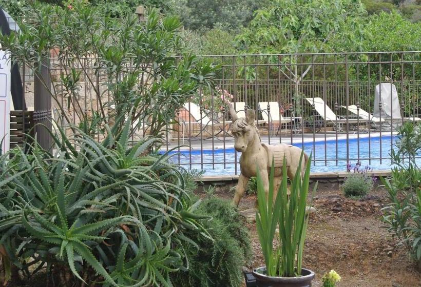 هتل Stella Marina