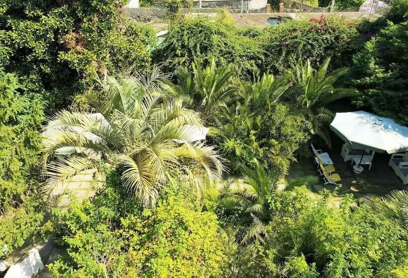 B&b Il Giardino Di Villa Anna