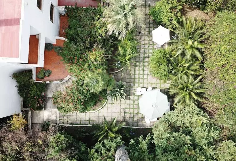 B&b Il Giardino Di Villa Anna