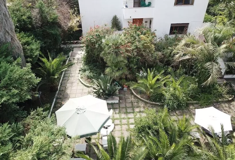 B&b Il Giardino Di Villa Anna