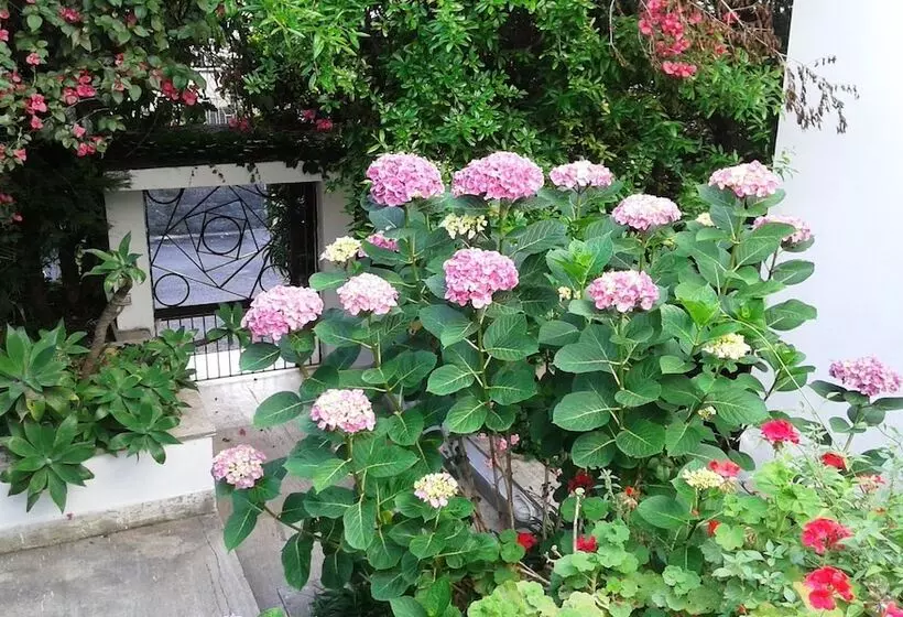 B&b Il Giardino Di Villa Anna