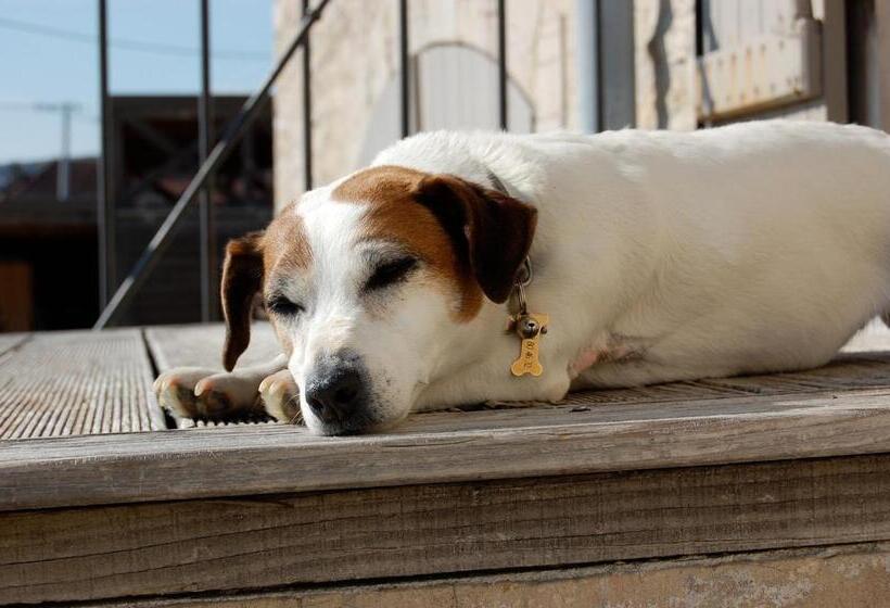 צימר Domaine Des Closeaux