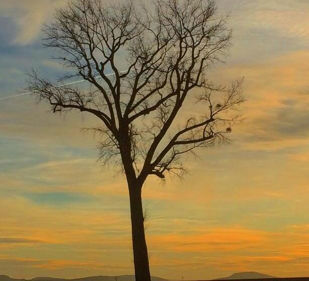 צימר Domaine Des Closeaux