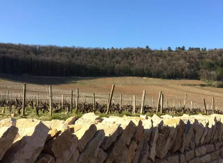 Aamiaismajoitus (B&B) Domaine Des Closeaux