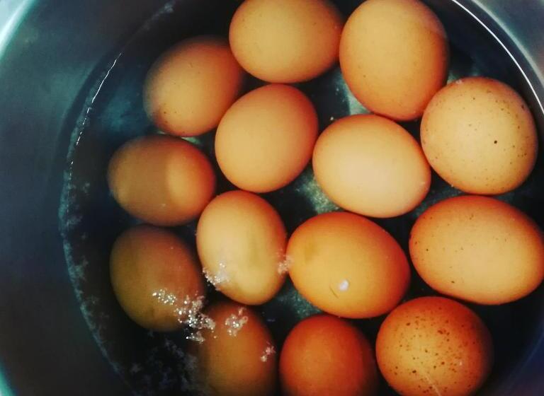 مبيت وإفطار Pension Apartments Klotznerhof