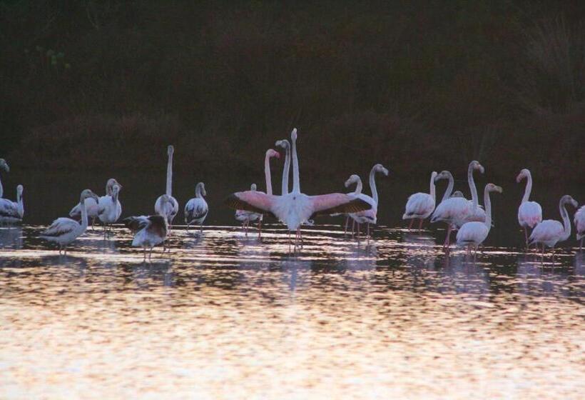 צימר Roccabianca Rooms & Studios