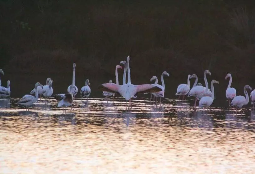 Aamiaismajoitus (B&B) Roccabianca Rooms & Studios