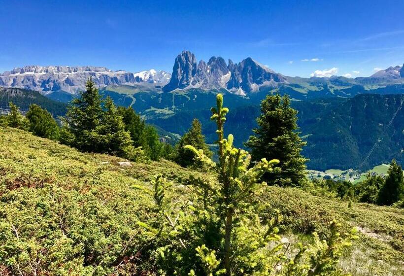 בית מלון כפרי Arnaria