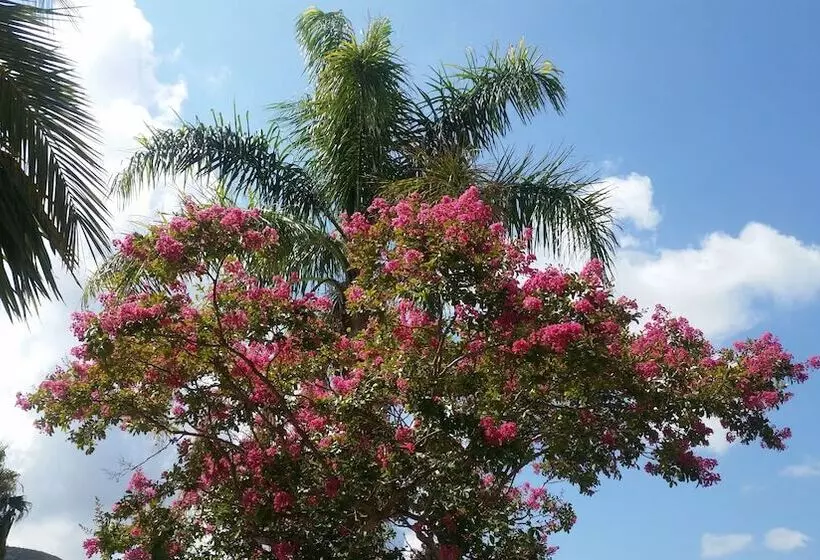 Hotelli Residence Maddalena