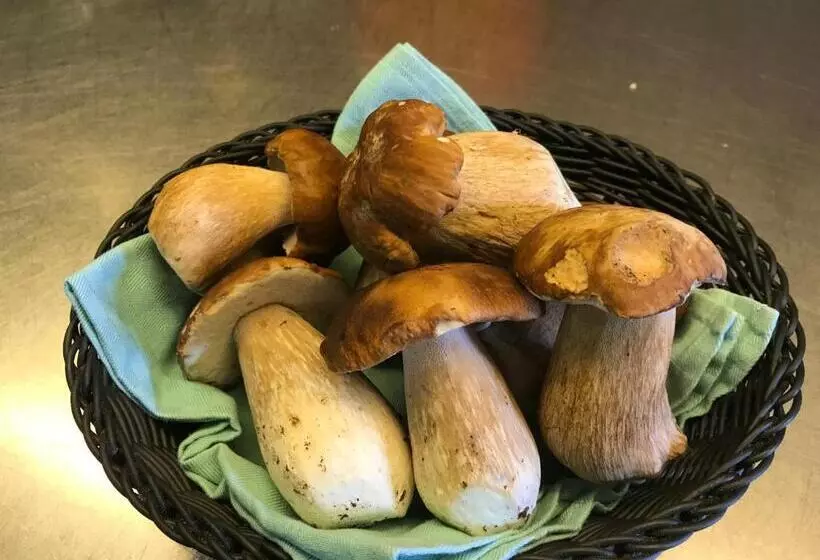 Hotelli Stüa Granda