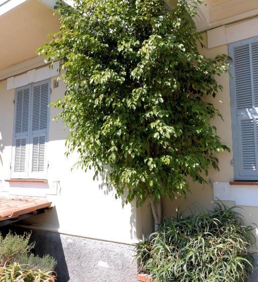 בית מלון כפרי Villa Amelia