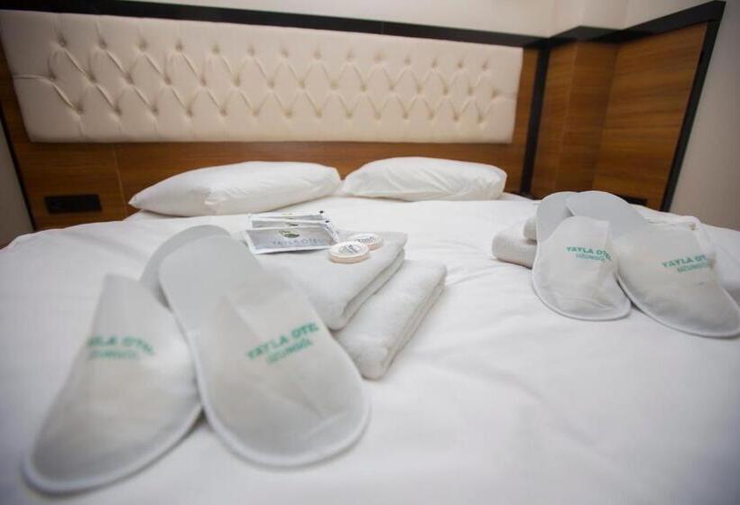 בית מלון כפרי Yayla