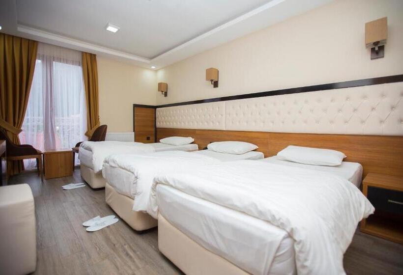 בית מלון כפרי Yayla