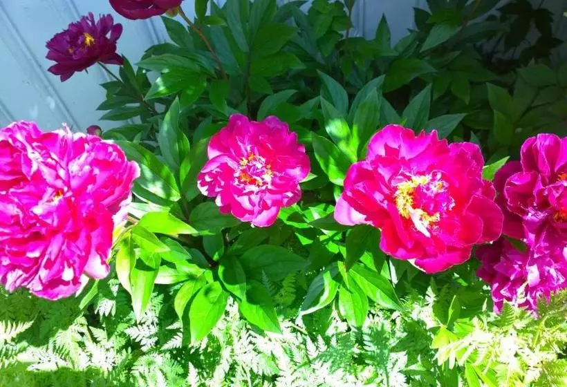 ベッドアンドブレックファースト Elisetorp