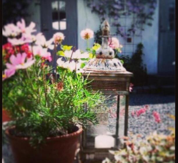 تختخواب و صبحانه Elisetorp