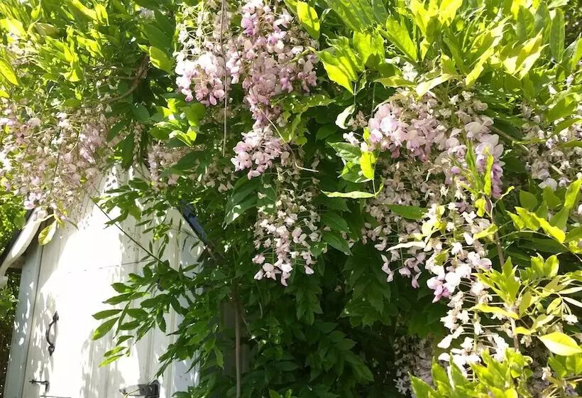 ベッドアンドブレックファースト Elisetorp