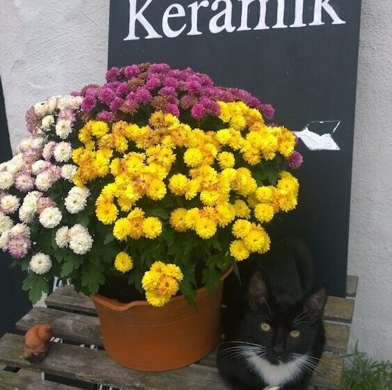 تختخواب و صبحانه Elisetorp