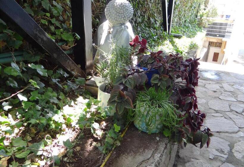 تختخواب و صبحانه Laura Del Mar Hotel Boutique