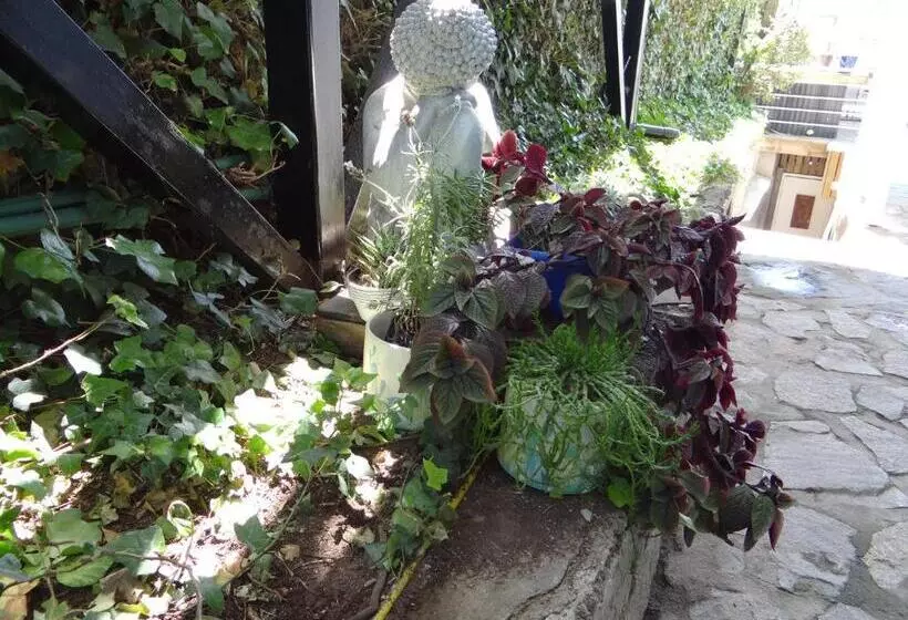 Aamiaismajoitus (B&B) Laura Del Mar Hotel Boutique