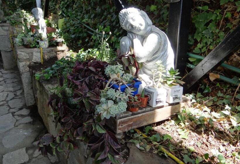 تختخواب و صبحانه Laura Del Mar Hotel Boutique