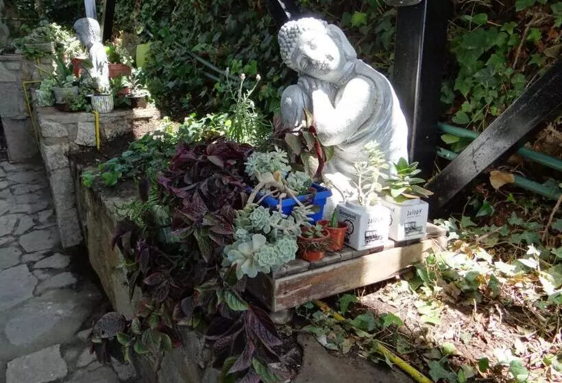 Aamiaismajoitus (B&B) Laura Del Mar Hotel Boutique