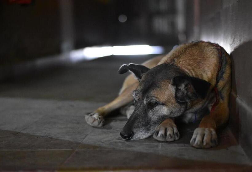 צימר Tilcara Hostel