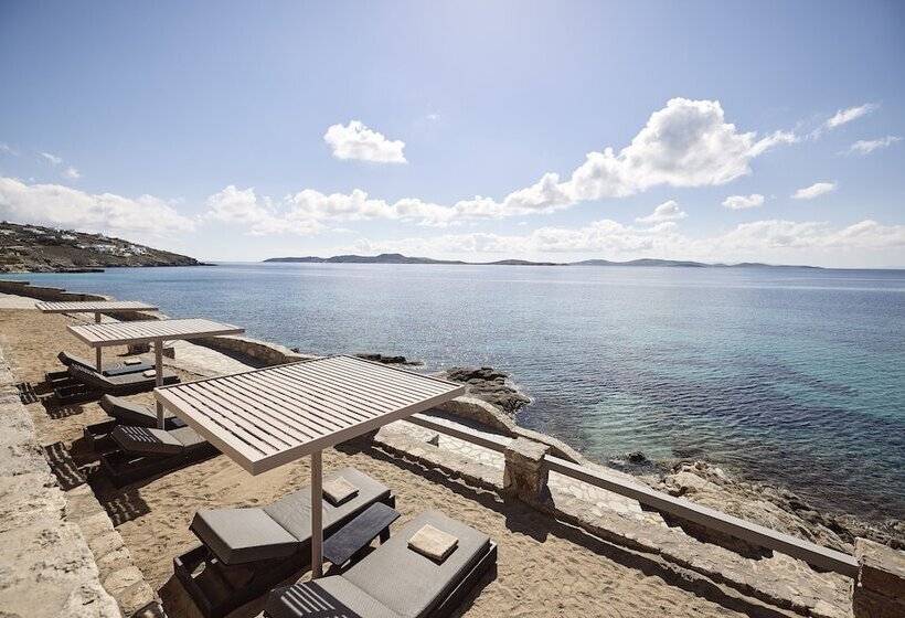 ホテル Amazon Suites