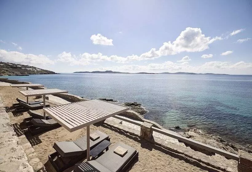 Hotelli Amazon Suites