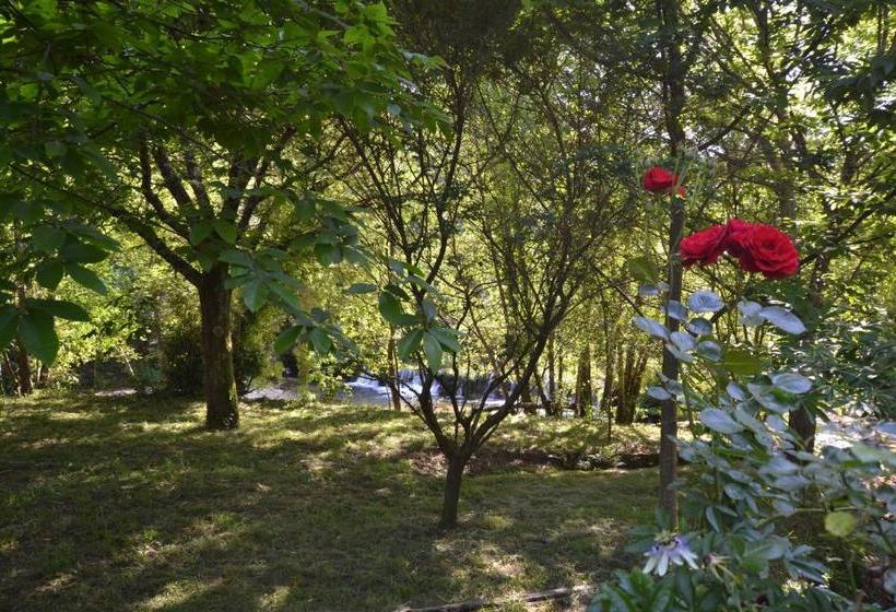 هتل Azenha Do Rei