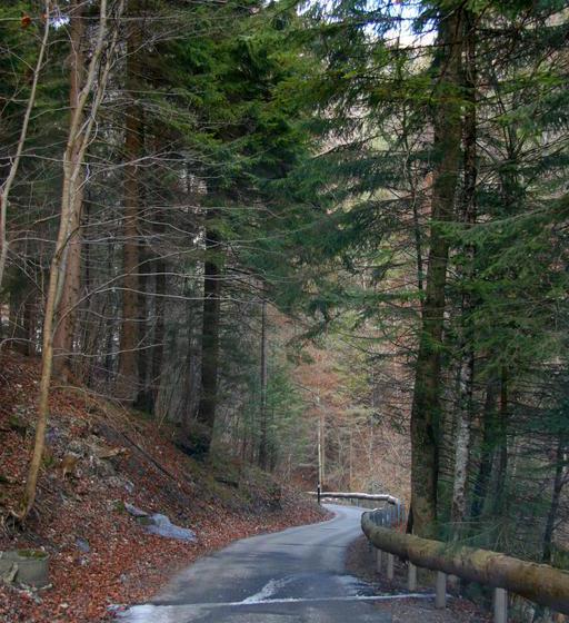 בית מלון כפרי Fontana Passugg