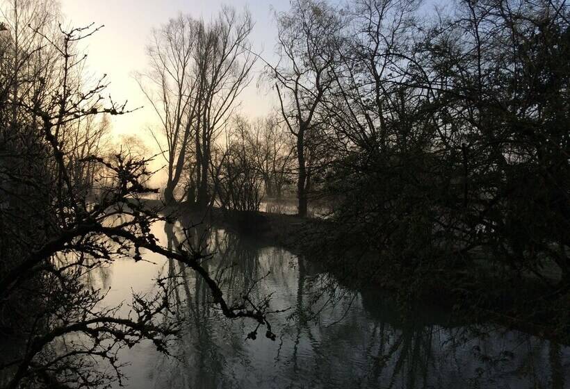 Отель Logis Hôtel Le Chantoiseau