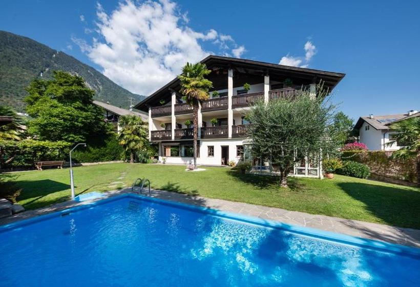 ホテル Pension Weingarten