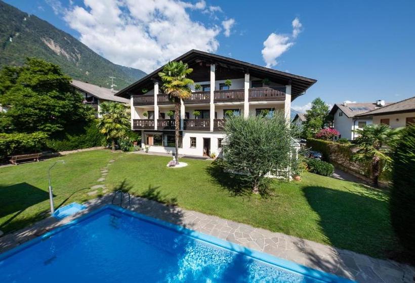 ホテル Pension Weingarten