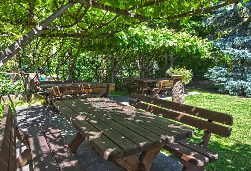 Hotelli Pension Weingarten