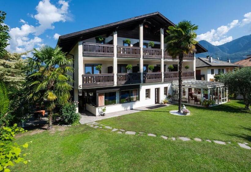 ホテル Pension Weingarten