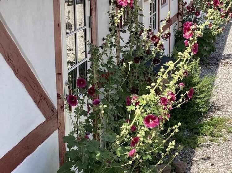 Jungshoved Præstegård B&b