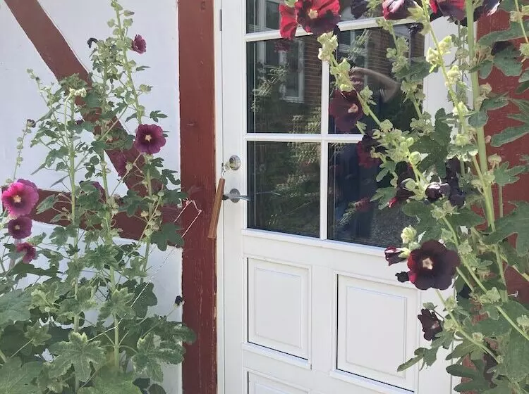 Jungshoved Præstegård B&b