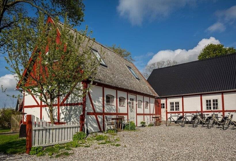 Jungshoved Præstegård B&b